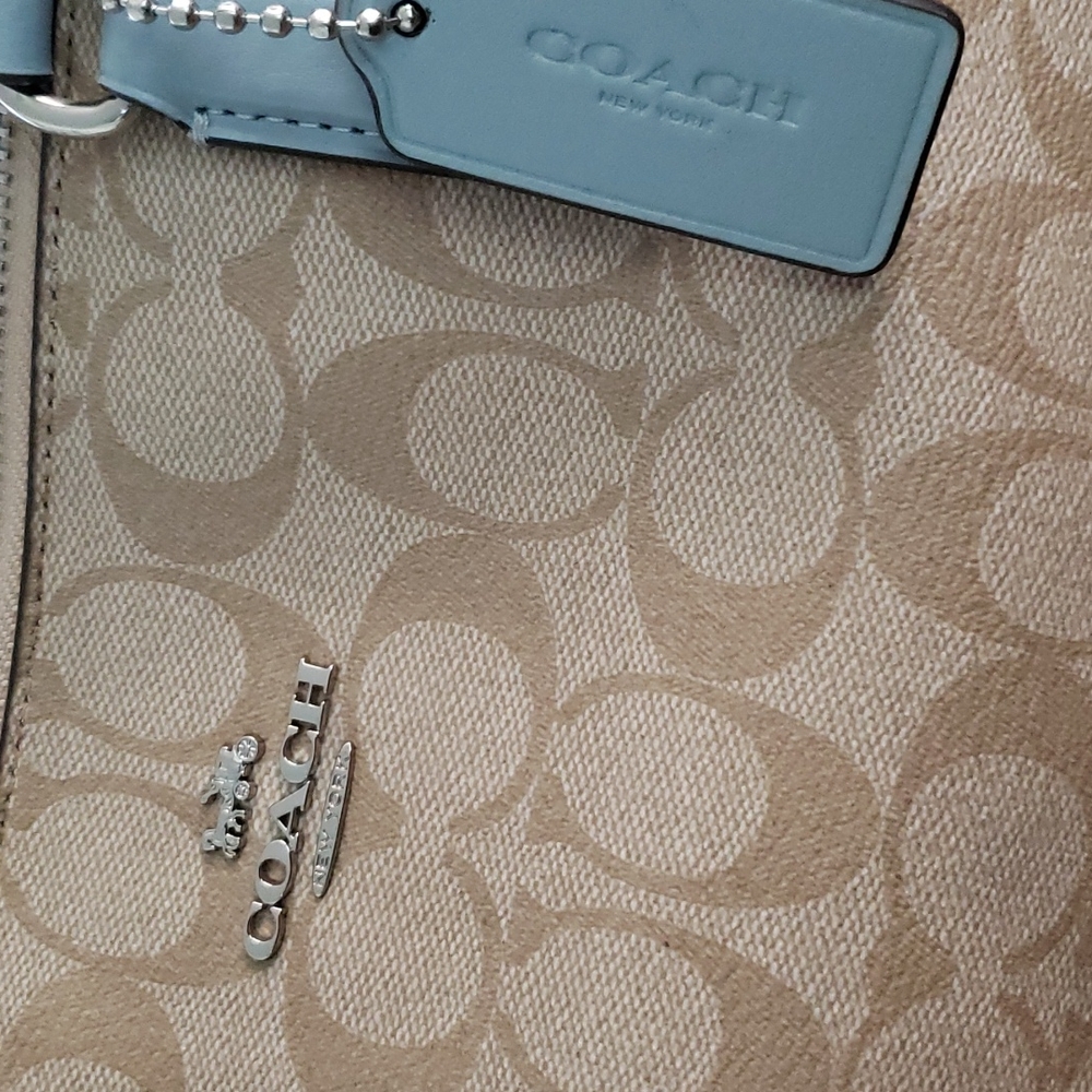 Coach Bag / Tote